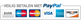 Veilig online betalen met Paypal